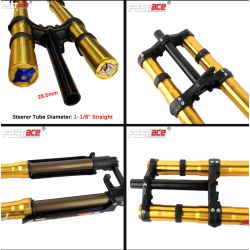 Fourche + TéFASTACE ALX13RC 2.0GOLD 60LBS SUR-RON LIGHTBEE