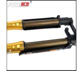 Fourche + TéFASTACE ALX13RC 2.0GOLD 60LBS SUR-RON LIGHTBEE