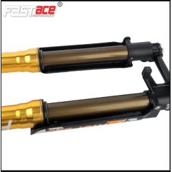 Fourche + TéFASTACE ALX13RC 2.0GOLD 60LBS SUR-RON LIGHTBEE