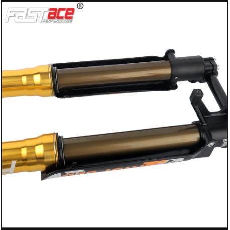 Fourche + TéFASTACE ALX13RC 2.0GOLD 60LBS SUR-RON LIGHTBEE