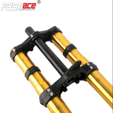 Fourche + TéFASTACE ALX13RC 2.0GOLD 60LBS SUR-RON LIGHTBEE