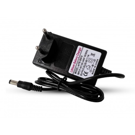 Chargeur - Buggy électrique - 12V