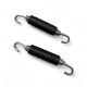 Ressorts d\'echappement x2