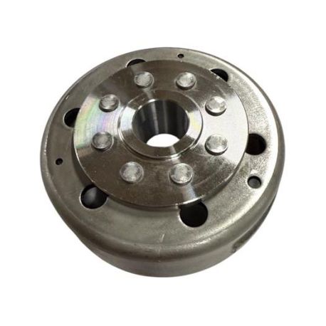 ROTOR D\'ALLUMAGE POURERZ 450CC R 