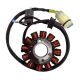 Stator d\'allumage CRZ ERZ 450cc R