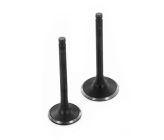 Valvole + guarnizioni pack yx /lifan 23mm/27mm