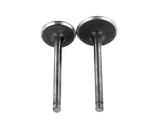 Valvole + guarnizioni pack yx /lifan 23mm/27mm