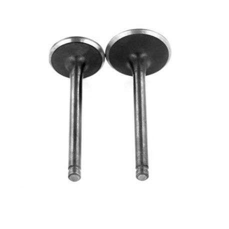 Valvole + guarnizioni pack yx /lifan 23mm/27mm