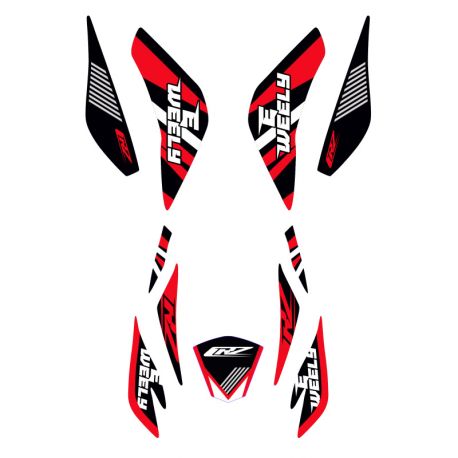 Kit décoration quad électrique - CRZ E-Weely