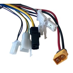 Regolatore - 1000w - Litio