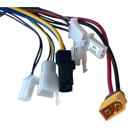 Controlleur - 1000w - Lithium