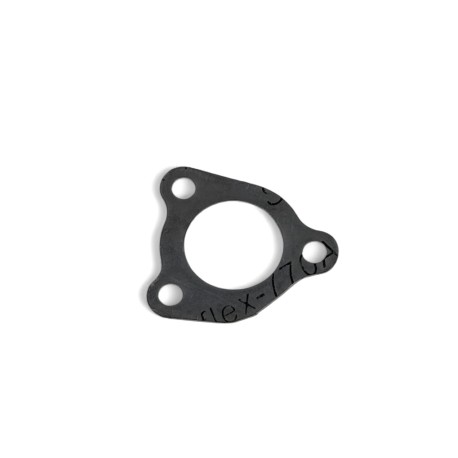 Guarnizione Carlostat - ERZ 250cc 2 tempi