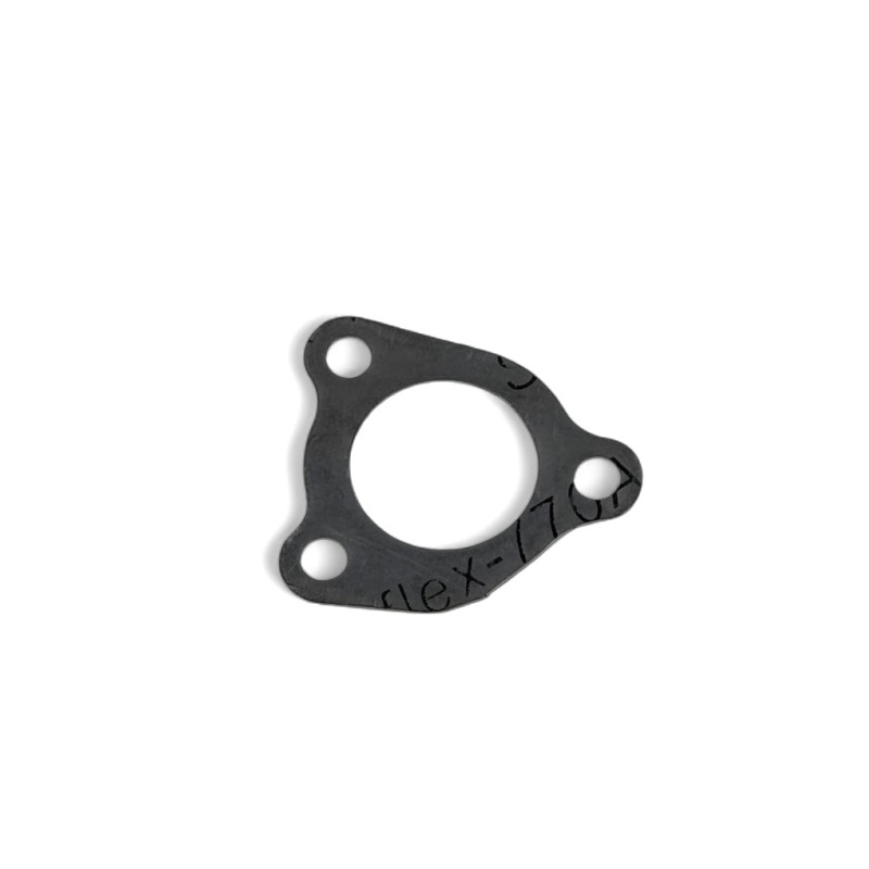 Guarnizione Carlostat - ERZ 250cc 2 tempi