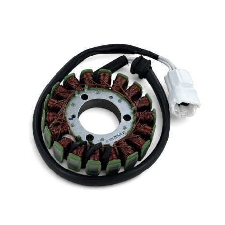 Stator d'allumage - ERZ 250cc 2 temps