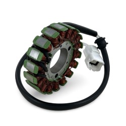 Stator d'allumage - ERZ 250cc 2 temps