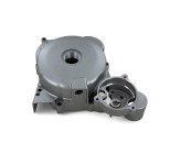Carter d'allumage gauche - ERZ 300cc liquide