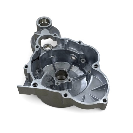 Coperchio accensione sinistro - ERZ 300cc liquido