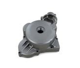 Coperchio accensione sinistro - ERZ 300cc liquido