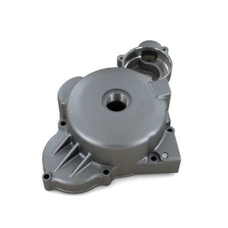 Coperchio accensione sinistro - ERZ 300cc liquido