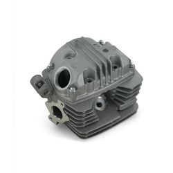 Testata nuda - 250cc