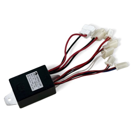Regolatore di tensione - E-KID 250W - 2025