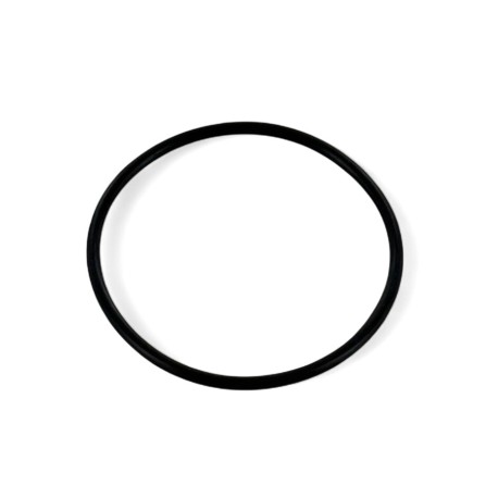 O-ring per carter motorino di avviamento - ERZ 250/300cc Pro