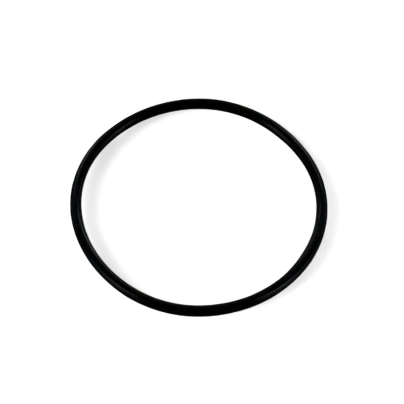 O-ring per carter motorino di avviamento - ERZ 250/300cc Pro O-ring per carter motorino di avviamento - ERZ 250/300cc Pro