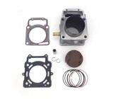 Kit cilindro e pistone - Aggiornamento 350cc - ERZ 300L