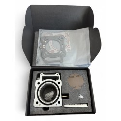 Kit cilindro e pistone - Aggiornamento 350cc - ERZ 300L