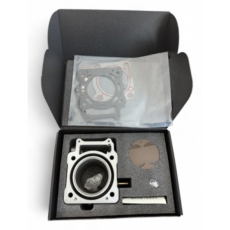 Kit cilindro e pistone - Aggiornamento 350cc - ERZ 300L