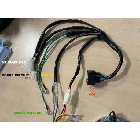 Pack Allumage Compétition (ZS/YX/LIFAN/DAYTONA)