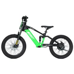 Bicicletta elettrica CRZ...