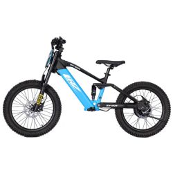 Bicicletta elettrica CRZ...