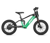 Draisienne électrique CRZ EX-18" 36V 500W 7,8Ah - Vert