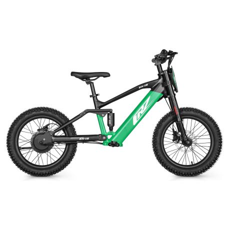 Draisienne électrique CRZ EX - 36V 500W 7,8Ah - 18" - Vert