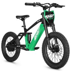 Draisienne électrique CRZ EX - 36V 500W 7,8Ah - 18" - Vert