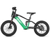 Draisienne électrique CRZ EX - 36V 500W 7,8Ah - 18" - Vert