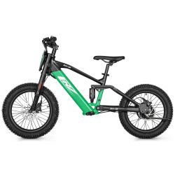 Draisienne électrique CRZ EX - 36V 500W 7,8Ah - 18" - Vert