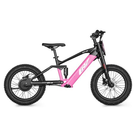 Bicicletta elettrica CRZ senza pedali - EX-18" - 36V 500W - Verde