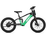 Bici senza pedali elettrica - CRZ EX - 36V 500W 7,8Ah - 20" - Verde