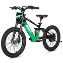Draisienne électrique CRZ EX-20" 36V 500W 7,8Ah - Vert