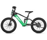 Draisienne électrique CRZ EX-20" 36V 500W 7,8Ah - Vert