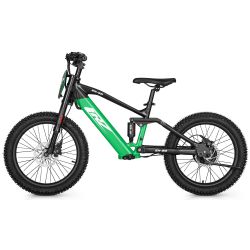 Bicicletta elettrica CRZ senza pedali - EX-20" - 36V 500W - Verde