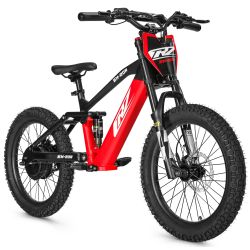 Bicicletta elettrica CRZ...