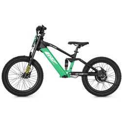 Bici senza pedali elettrica - CRZ EX - 36V 750W 7,8Ah - 20" - Verde