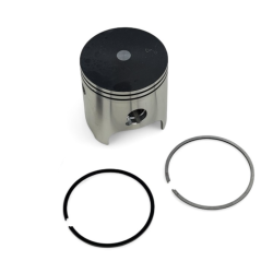 Pistone + fasce elastiche -...