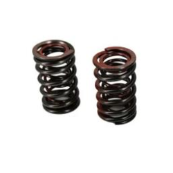 Molla della Valvola...