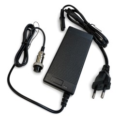 Caricabatterie - E-Fury - 800w