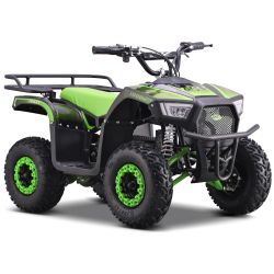 Pocket Quad Electrique...