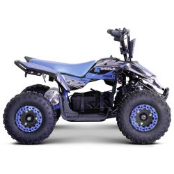 Children's Electric Pocket Quad - CRZ E-WEELY 1000w